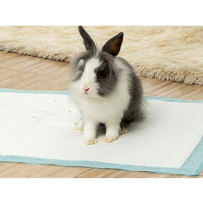 China Durable Indoor Super Absorbent and Leakproof Pet Toilet Training Pads for Puppy Cat Pet Training Pads for sale