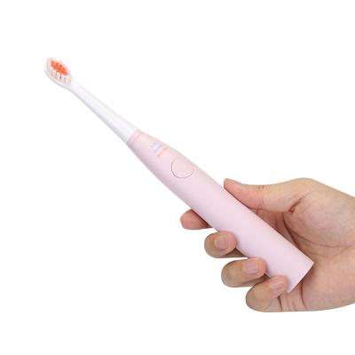 China Battery Powered Short Hard Bristle Electric Toothbrush Acoustic Rotary Ultrasonic Toothbrushes for sale