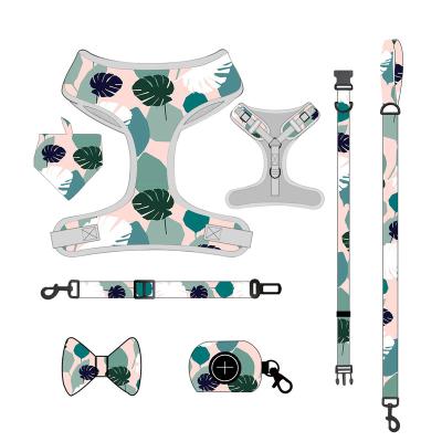 China Manufacturers Personalized Custom Adjustable Rope Pet Collars And Leashes Bow Dog Harness Set With Attached Bow Tie for sale