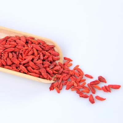 China Dried Goji Seed Wolfberry Wholesale New Cultivation Dried Ningxia Goji Berry for sale