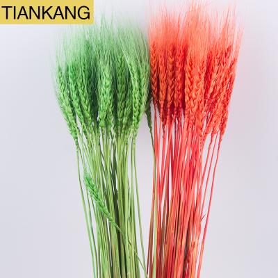 China Natural Wheat Straw Dried Flower Multicolor Wheat Flower Wheat Flower for sale