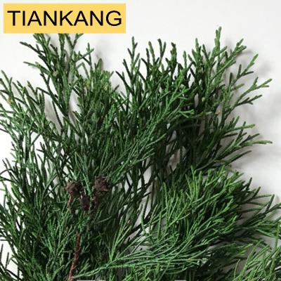 China Dried Flower at Dried Flower Plant for Decoration Dried Flower Preserved Flower Pine Branches for Christmas for sale