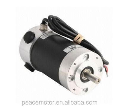 China Separately Waterproof Enthusiastic DC Motor for sale