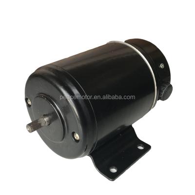 China Totally Enclosed CUSTOM Dc Motor 12v 24v 36v 48v 72v 110v 220v 50w 85w 100w for sale