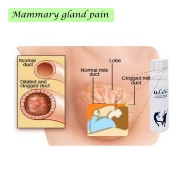 China Spray on Pain Area Pain Relief Sport Pain Relief Sport Tension Joint Pain Muscle Pain Light Skin Burn Light Mammary Gland Ache Aches Pain for sale