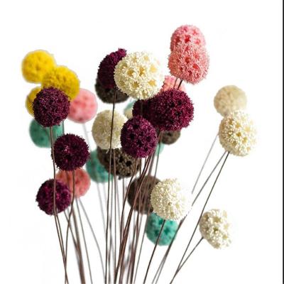 China Hot Sale Home Natural High Grade Latest Decoration Design Dried Flowers Home Ornament for sale