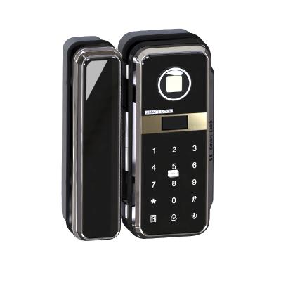 China Fingerprint+password+card reading+temporary password electric fingerprint smart lock for door&wooden door& glass door W8 auto-open for sale