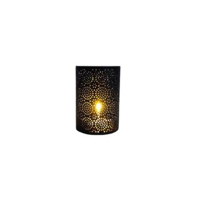 China Eco-friendly Type Frame Socket Shade Panel Stand Pattern Large Color Torch Solar Dancing Flames for sale