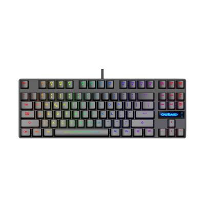 China Anti-Ghost 87 Key Numeric Keypad Full Mechanical Keyboard Waterproof Colorful Light Full Metal Panel For PC for sale