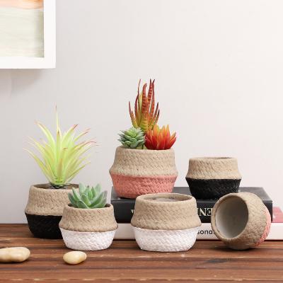 China Creative Design Succulent Planter Cement Weaving Desktop Flower Pot Mini Cement Succulent Plant Minimalist Plant Pot For Home Decor for sale