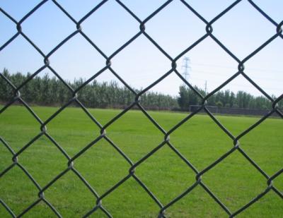 China Easily Assembled Cheap PVC Coated Chain Link Fencing, PVC Coated Cheap Farm Fence, Galvanized Chain Link Fencing for sale