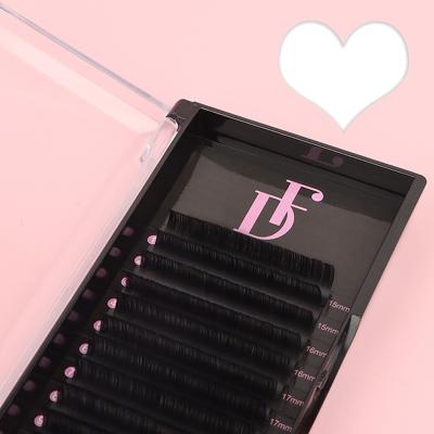 China Dreamflowerlashes matte /soft volume lashes 5-25mm length 0.05mm soft private label natural eyelash extension for sale