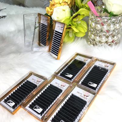 China /soft matte 0.03 0.05 0.07 dual densities l c cc d different faux mink cashmere eyelash extension lash trays loop 20mm 25mm lash extension trays for sale