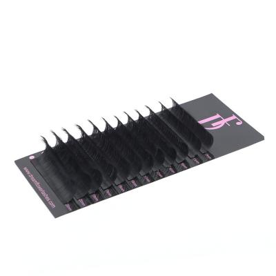 China Matte /soft private volume lashes individual eyelash silk eyelash extensions for sale