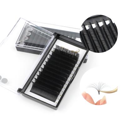 China /soft customer Logo Easy Fan Korea PBT volume matte silk eyelash extension for sale