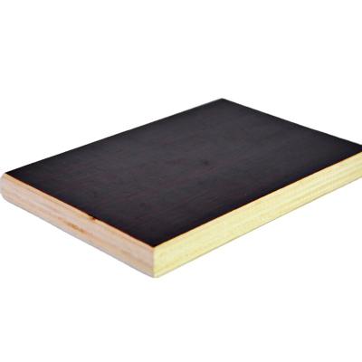 China Brown Traditional Black Film Faced Eucalyptus Marine Price Suppliers Plywood for sale