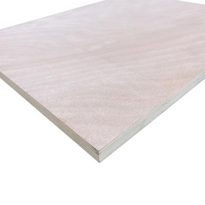 China Traditional hot sale 9/12/15/18 okoume faced commercial plywood B/B BB/BB for sale