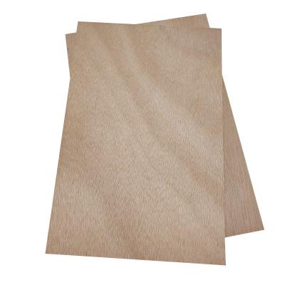 China Traditional Cheap Commercial 18mm Okoume Plywood 9mm 12mm 15mm Plywood Netting For Furniture for sale