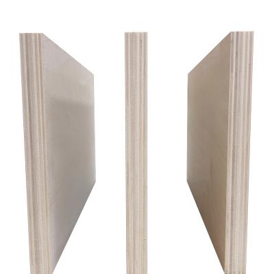 China Traditional cheap plywood for good quality commercial 9mm 12mm 15mm 18mm birch plywood plywood factory use kinds of plywood for sale