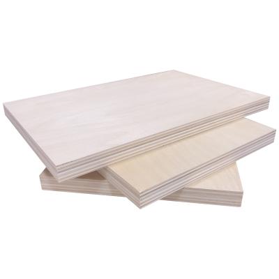 China Traditional plywood for southeast asia market factory price 9mm 12mm 15mm 18mm cheap kinds of plywood birch plywood for sale