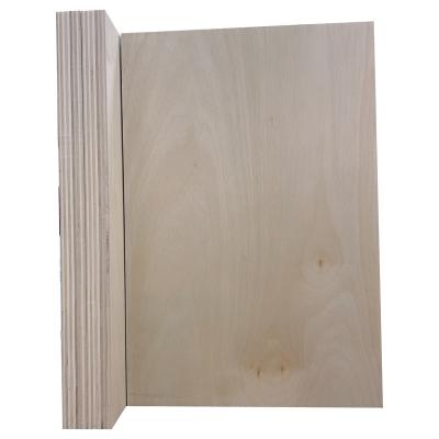 China Cheap good quality 9mm 12mm 15mm 18mm kinds of birch playwood prices traditional baltic plywood birch plywood factory price for sale