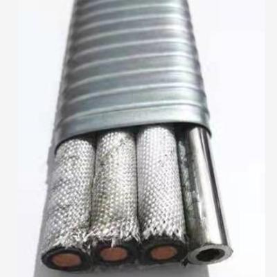 China Industrial electric submersible pump ESP cable with capillary tubing oil pump cable ESP cable 5kv 3kv for sale