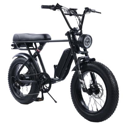 China Carbon Steel 48V 500W Fat Tire Mountain Dirt Bike Electric Bicycle for sale