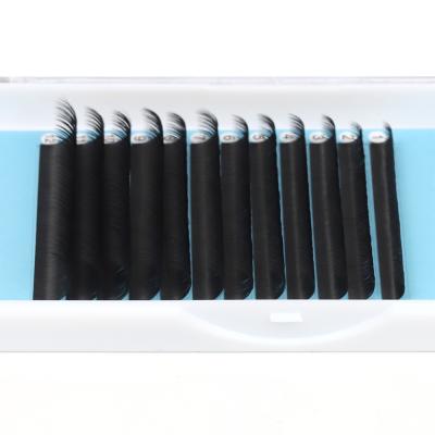 China Volume Easily Fans Wholesale Eyelash Extension Fan Individual Length Mix Flower Quick Eyelash Extension Fans for sale