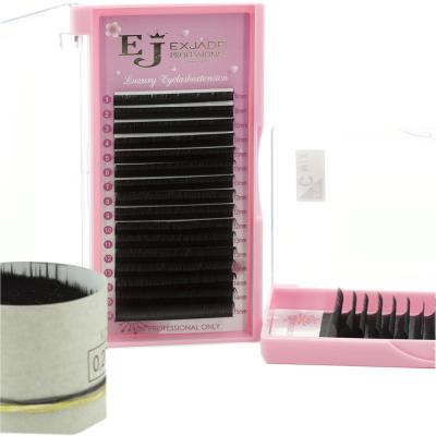 China Synthetic Fiber D Loop 0.03 Easy Volume Fans EJ 0.05 0.07 Volume Easy Lashes Fans Lashes Eyelash Extensions for sale