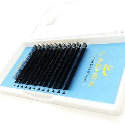 China No Bulk Volume Wholesale Classic Silk Mink Length Tuck Mix Private Label Eyelash Extension Products for sale