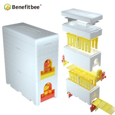 China Multifunctional Benefitbee ENV Beekeeping Queen Bee Box Mating Queen Breeding Beehive Moss Hive for sale