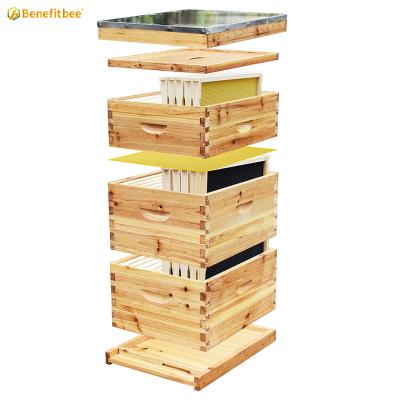 China Bee Farm Benefitbee Bee Amass Wooden Kit Langstroth Hive Beekeeping Equipment 8/10 Frames Langstroth Hive for sale