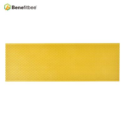 China Bee Farm Beekeeping Equipment Priceinjection molding plastic comb base with high quality for sale