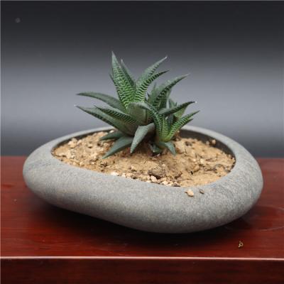 China Modern Japanese Style Pebble Stone Flower Plant Pot for Modern Home Office Table Office Decoration for sale