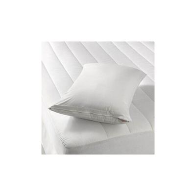 China Bed Bug Insect Zipper Pillow Protector Vinyl Waterproof Hypoallergenic Pillowcases Zippered Pillow Covers for sale