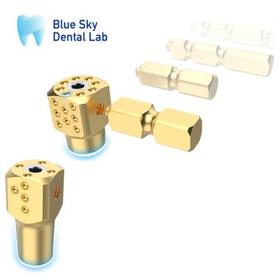 China Blue Sky Implant Multi Unit Scan Body Tandheelkundige Implantaten Voor Edentulous Te koop