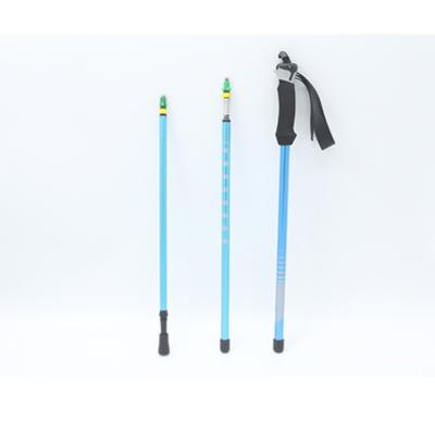 China EVA High Quality Ski Poles Foldable Trekking Poles Canes Nordic Walking Poles Alpenstock Trekking Poles for sale