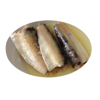 China Best canned sardine in vegetable oil for sale