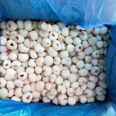 China New Culture Lychee IQF Frozen Lychee for sale