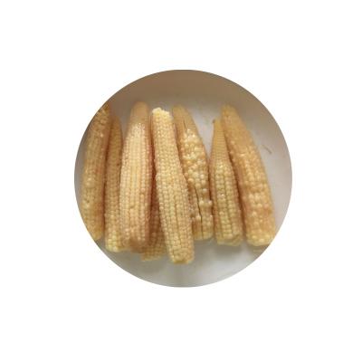 China Canned Young Corn Spears Baby Corn Whole Price Canned Good for sale