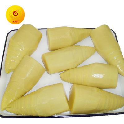 China Artificial additive not canned whole bamboo shoot in brine for sale