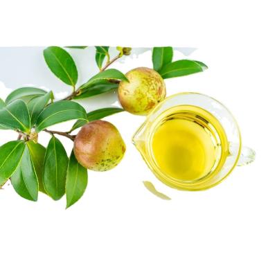 China Cosmetics/Essential Oil Carrier Camellia Oil OEM/ODM Service Guangdong Top Organic Camellia Oleifera Seed Oil Cold Pressed Japan Tsubaki TeaSeed Oil Quince for sale