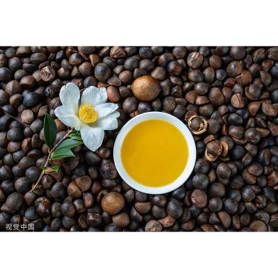 China OEM/ODM Cosmetics/Essential Oil Carrier Oil Service For Camellia Oil 100% Pure Top Camellia Oleifera Seed Oil Cold Pressed MATERIAL MANUFACTURER for sale