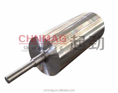 China Stainless Steel Magnetic Main Pulley for sale