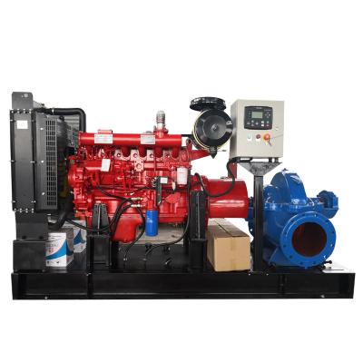 China Horizontal Slot Casing Developing World Double Suction Water Solutions Electric / Diesel Pump 300s12 for sale