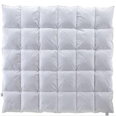 China White Duck Down Feather Cotton Home Hotel Comforter Duvet Quilt Goose Quilt Comforter Bed Warm Soft Lightweight Sleep Comforter for sale