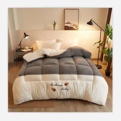 China High quality cheap price fleece winter comforter wholesale sale comforter heavy warm warm comforter domestic for sale