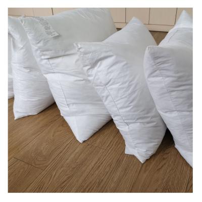 China Viable Success Pillow Insert 22x22 Down And Feather Pillow Shape Insert Price Good Rest Pillow for sale