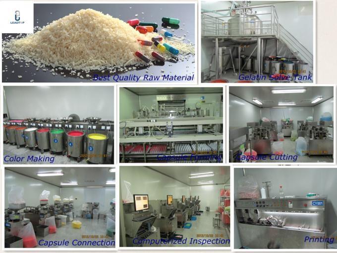 Proveedor verificado de China - Leadtop Pharmaceutical Machinery