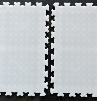 China White Outdoor Roller Hockey Tiles 12mm Thickness Interlocking Basketball Court for sale